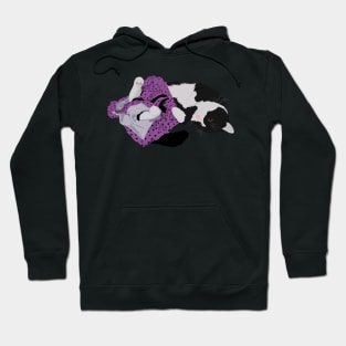 Derp the cat Hoodie